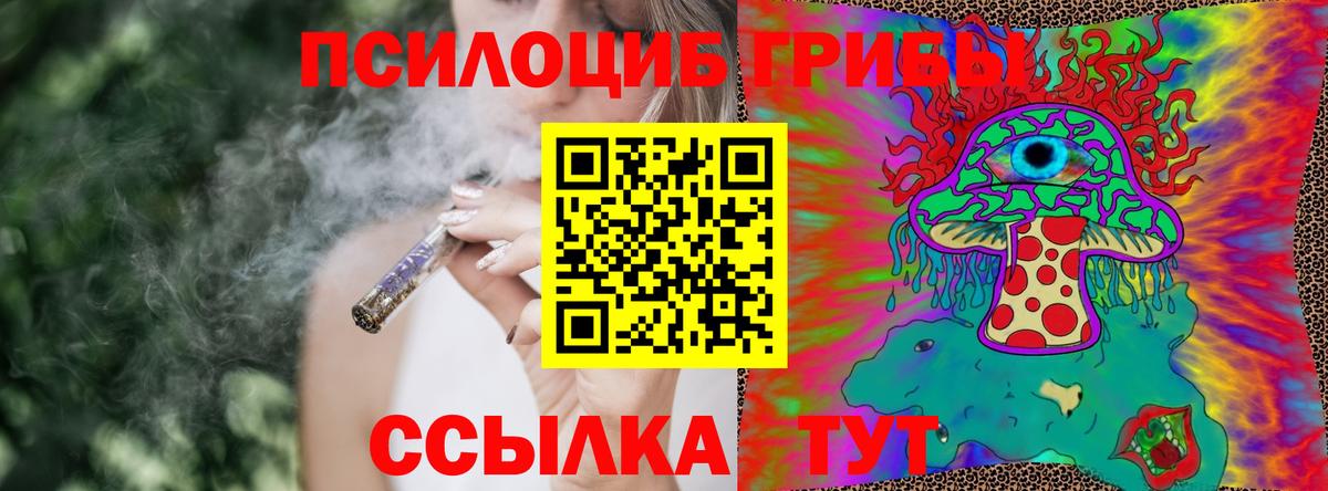 Бахчисарай  как найти закладки  Вход с VPN  Псилоцибиновые грибы Psilocybine cubensis 